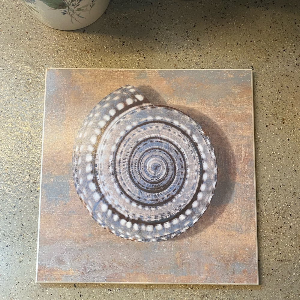 Spiral Shell Art Wooden Wall Plaque